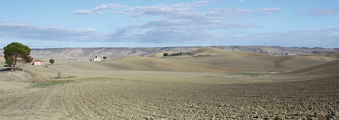 Irsina visione campagna